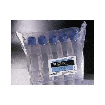 Corning® BioCoat™ Collagen I Cell Culture Inserts