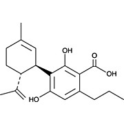 Cannabidivarinic Acid (CRM)