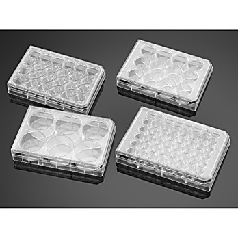 Corning® BioCoat™ Laminin Plates