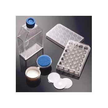 Corning® BioCoat™ Poly-L-Lysine Coverslips