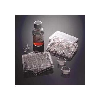 Corning® BioCoat™ Multi-Well and Assay Plates