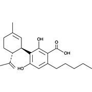 Cannabidiolic Acid (CRM)