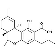 Tetrahydrocannabivarinic Acid (CRM)