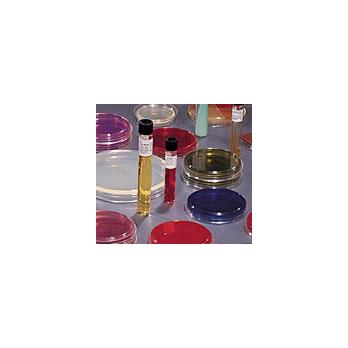 BBL™ Trypticase™ Soy Agar (Soybean-Casein Digest Agar)