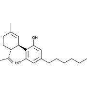 CBDH (CRM)