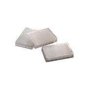 384 Deepwell Plates