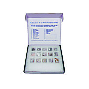 United Scientific™ Metamorphic rock set 15