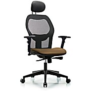 Executive Windrowe Mesh Back Chair with Taupe Supernova Seat