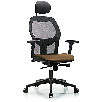 Executive Windrowe Mesh Back Chair with Taupe Supernova Seat