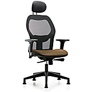 Executive Windrowe Mesh Back Chair with Taupe Supernova Seat