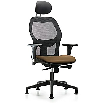 Executive Windrowe Mesh Back Chair with Taupe Supernova Seat