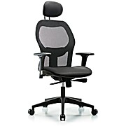 Executive Windrowe Mesh Back Chair with Carbon Supernova Seat