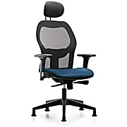Executive Windrowe Mesh Back Chair with Marine Blue Supernova Seat