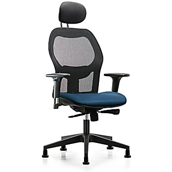 Executive Windrowe Mesh Back Chair with Marine Blue Supernova Seat