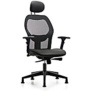 Executive Windrowe Mesh Back Chair with Carbon Supernova Seat
