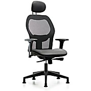 Executive Windrowe Mesh Back Chair with Sterling Supernova Seat