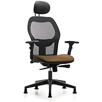 Executive Windrowe Mesh Back Chair with Taupe Supernova Seat
