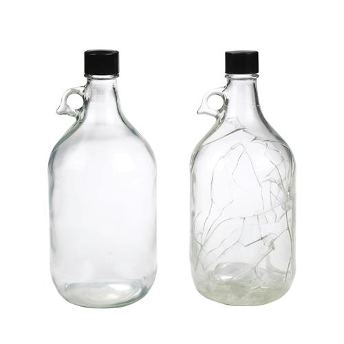 Wheaton® Safety Coated Clear Glass Bottles, 16 oz, PTFE Liner, case/24