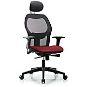 Executive Windrowe Mesh Back Chair with Borscht Supernova Seat