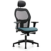 Executive Windrowe Mesh Back Chair with Storm Supernova Seat
