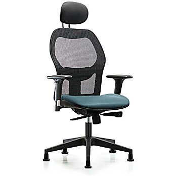 Executive Windrowe Mesh Back Chair with Storm Supernova Seat