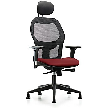 Executive Windrowe Mesh Back Chair with Borscht Supernova Seat