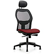 Executive Windrowe Mesh Back Chair with Borscht Supernova Seat