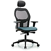 Executive Windrowe Mesh Back Chair with Storm Supernova Seat