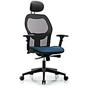Executive Windrowe Mesh Back Chair with Marine Blue Supernova Seat