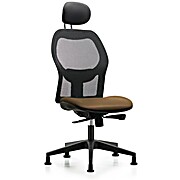 Executive Windrowe Mesh Back Chair with Taupe Supernova Seat