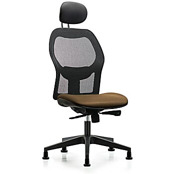 Executive Windrowe Mesh Back Chair with Taupe Supernova Seat