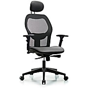 Executive Windrowe Mesh Back Chair with Sterling Supernova Seat