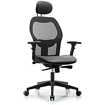 Executive Windrowe Mesh Back Chair with Sterling Supernova Seat
