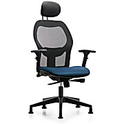 Executive Windrowe Mesh Back Chair with Marine Blue Supernova Seat