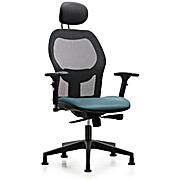Executive Windrowe Mesh Back Chair with Storm Supernova Seat
