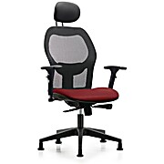 Executive Windrowe Mesh Back Chair with Borscht Supernova Seat