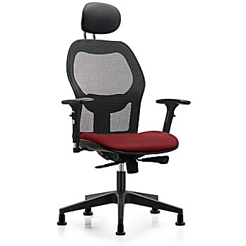 Executive Windrowe Mesh Back Chair with Borscht Supernova Seat