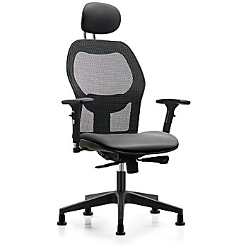Executive Windrowe Mesh Back Chair with Sterling Supernova Seat