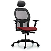 Executive Windrowe Mesh Back Chair with Borscht Supernova Seat