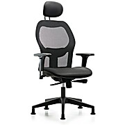 Executive Windrowe Mesh Back Chair with Carbon Supernova Seat