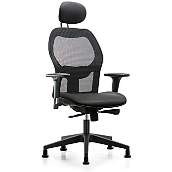 Executive Windrowe Mesh Back Chair with Carbon Supernova Seat