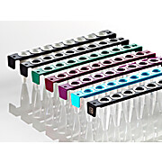 FrameStrip® 8 Well PCR Tube Strips