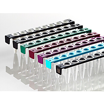 FrameStrip® 8 Well PCR Tube Strips