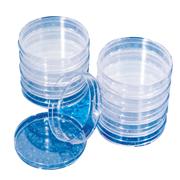 Thomas Petri Dishes