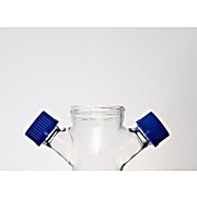 Micro-Carrier Spinner Flask Complete 250mL