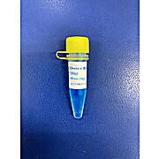 Choice Taq Blue Mastermix™, 1.5mM MgCl2, 400 reactions