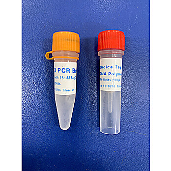 Choice-Taq™ DNA Polymerase, 250u