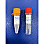 Choice-Taq™ DNA Polymerase, 250u