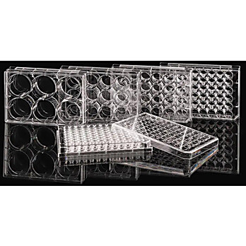 6 Well Cell Culture Plate, Flat, TC, Sterile, Individually plastic wrapped, 1/pk, 50/cs