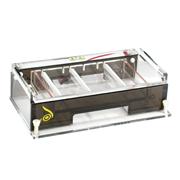 Gator™ Electrophoresis System